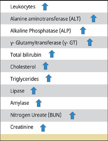 The gallbladder mucocele in dogs