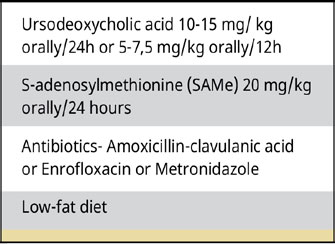 The gallbladder mucocele in dogs