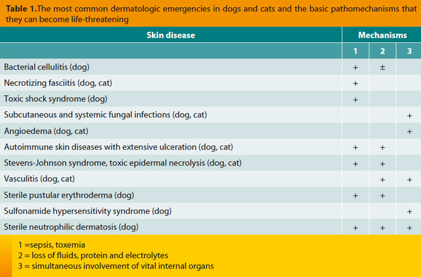 Dermatological Emergencies