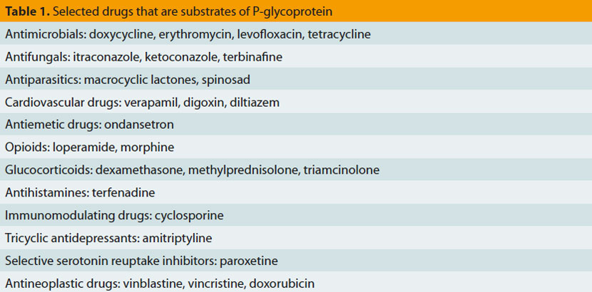 Drug Toxicities in Dogs and Cats