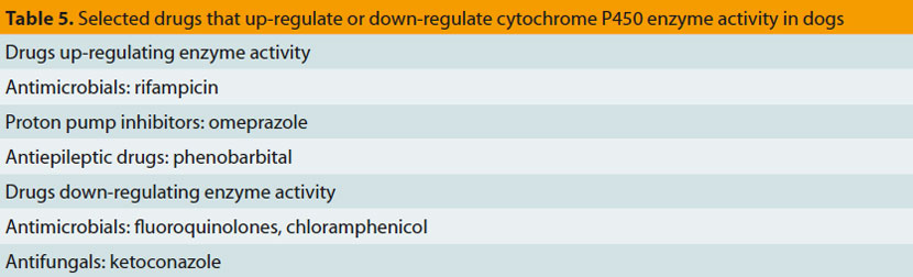 Drug Toxicities in Dogs and Cats