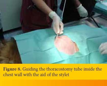 Thoracostomy tube placement