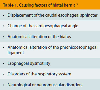 Current views regarding hiatal hernia in dogs and cats