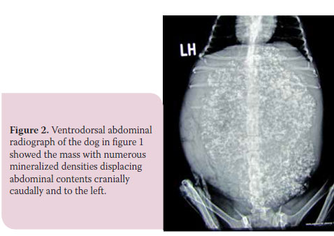 Hellenic Journal of Companion Animal Medicine - Volume 6 - Issue 2 - 2017