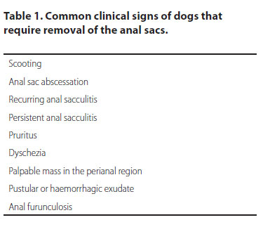 Αnal sacculectomy in dogs and cats