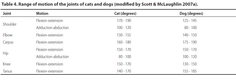 Differences between cats and dogs in orthopaedics